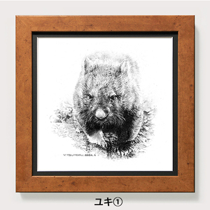 [77-01]ウォンバット 鉛筆画 原画(ユキ)