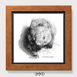 [77-01]ウォンバット 鉛筆画 原画(コウ)