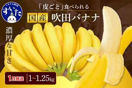 [2025年1月発送]吹田バナナ[大阪府吹田市][バナナ 1kg〜1.25kg(5 - 12本程度)有機栽培 皮ごと食べられる!極上 おすすめ 国産 環境へのこだわり 最高級 スムージー 濃厚な甘み フルーツ 果物 デザート 吹田市産 希少]