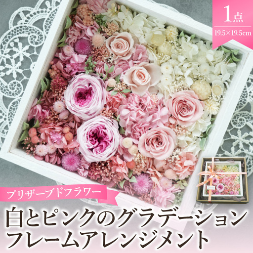プリザーブドフラワー 白とピンクのグラデーションフレームアレンジメント[大阪府吹田市]