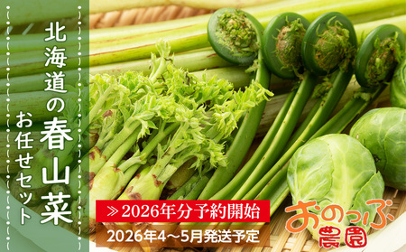 2026年分予約開始★北海道の春山菜お任せセット[おのっぷ農園]