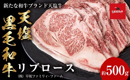 黒毛和牛 天塩和牛 すき焼き・焼肉 用 リブロース (約500g) [早坂ファーム]肉 焼肉 すき焼き 北海道産 国産 てしお和牛 和牛 牛肉 黒毛和牛 すき焼き 焼肉 リブロース ロース 北海道ふるさと納税