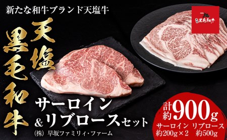 黒毛和牛 天塩和牛 サーロイン & リブロース セット [早坂ファーム]肉 焼肉 牛肉 北海道産 国産 てしお和牛 和牛 黒毛和牛 サーロイン ステーキ リブロース ロース 北海道ふるさと納税