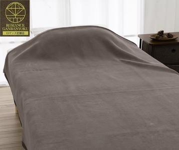 ROMANCE 岩盤浴プレミアム マイヤー毛布 シングル グレー 33008700|寒さ対策 あったか 軽い ニューマイヤー毛布 ブラックシリカ練りこみ 抗菌防臭 毛布 洗える [4280]