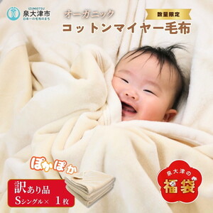 [数量限定]訳あり 無着色オーガニックコットンマイヤー毛布(毛羽部分) B品 1枚