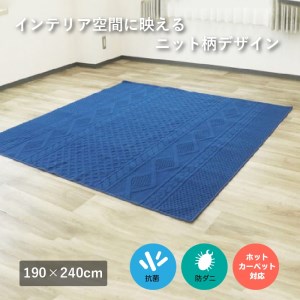 ニット柄ループラグ 190×240 ネイビー NT-9000 [3069]