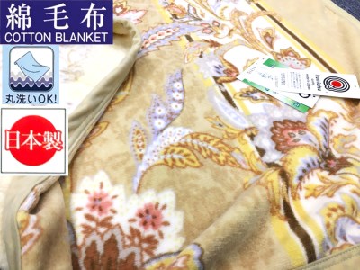 IZUMI大津の返礼品 検索結果 | ふるさと納税サイト「ふるなび」