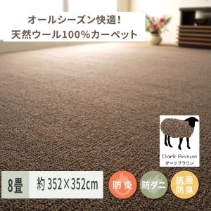 天然ウール100%の 防炎 カーペット 1枚 8帖 ダークブラウン 約352×352cm 600023780 [3529]