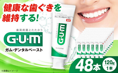 GUM デンタルペースト(ST) 120g×48本 大阪府高槻市/サンスター[AOAD011] 歯みがき ハミガキ 歯磨き粉 歯みがき ハミガキ 歯磨き粉 歯みがき ハミガキ 歯磨き粉 歯みがき ハミガキ 歯磨き粉