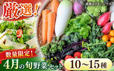 [数量限定]厳選!旬を味わう高槻おまかせ野菜詰め合わせセット 4月(10種?15種) 大阪府高槻市/高槻あぐり[AOCS010] 野菜 果物 やさい 野菜 果物 やさい 野菜 果物 やさい 野菜 果物 やさい