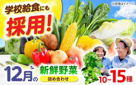 【数量限定・先行予約12】厳選！旬を味わう高槻野菜詰合せセット（10種～15種）【2024年12月発送】