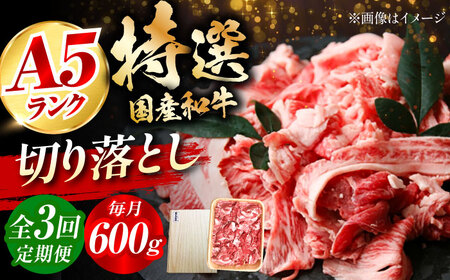 [全3回定期便]国産和牛切落し 600g ミートモリタ屋[AOAI023] 牛肉切り落とし牛肉切り落とし牛肉切り落とし牛肉切り落とし牛肉切り落とし牛肉切り落とし牛肉切り落とし牛肉切り落とし牛肉切り落とし