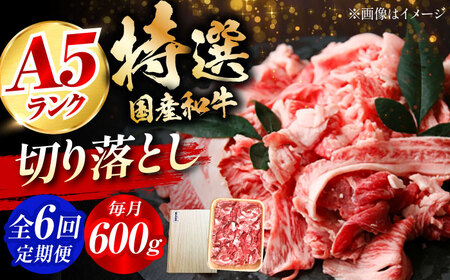 [全6回定期便]国産和牛切落し 600g ミートモリタ屋[AOAI024] 牛肉切り落とし牛肉切り落とし牛肉切り落とし牛肉切り落とし牛肉切り落とし牛肉切り落とし牛肉切り落とし牛肉切り落とし