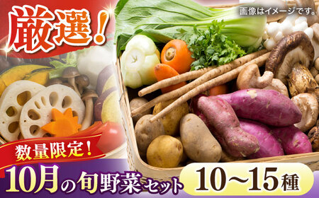 [数量限定]厳選!旬を味わう高槻野菜おまかせ詰め合わせセット 10月(10種〜15種) 大阪府高槻市/高槻あぐり[AOCS016]