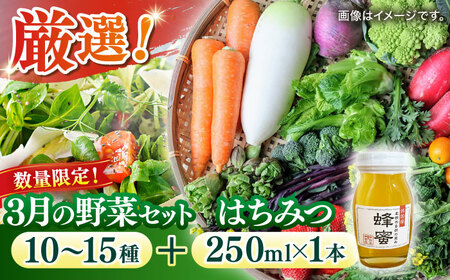 [数量限定]厳選!旬を味わう高槻野菜詰め合わせ 3月(10〜15種)&はちみつ セット 大阪府高槻市/高槻あぐり[AOCS022]