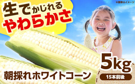 [6月頃発送]ホワイトコーン 5kg/15本前後 高槻あぐり[AOCS029] とうもろこし とうもろこし とうもろこし とうもろこし とうもろこし