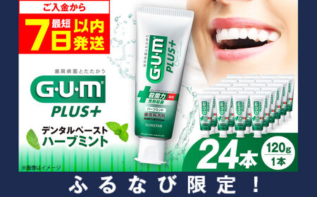 [ふるなび限定]ガム・プラス デンタルペースト 120g×24本(ハーブミント) 歯磨き粉 歯磨き粉 歯磨き粉 歯磨き粉 大阪府高槻市/サンスター FN-Limited[AOAD038]