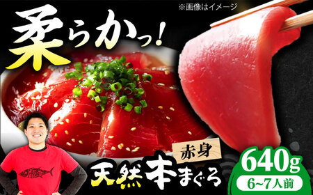 たね熟天然本まぐろ赤身(640g)[AOCE005]まぐろ まぐろ まぐろ まぐろ まぐろ まぐろ