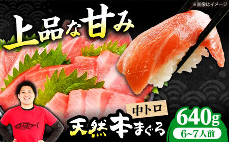 ˏnVR{܂뒆g(640g)[AOCE010]܂