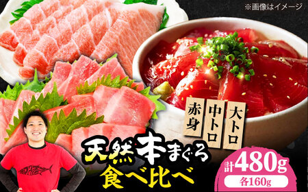たね熟天然本まぐろ赤身&中トロ&大トロセット(各160g 計480g)[AOCE012]まぐろ まぐろ まぐろ まぐろ まぐろ まぐろ