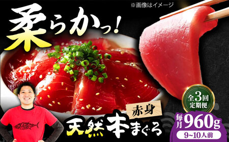 【全3回定期便】たね熟天然本まぐろ赤身(960g)[AOCE019]マグロ