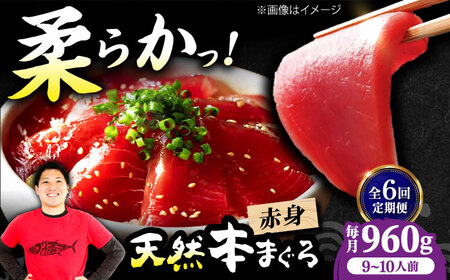 【全6回定期便】たね熟天然本まぐろ赤身(960g)[AOCE020]マグロ