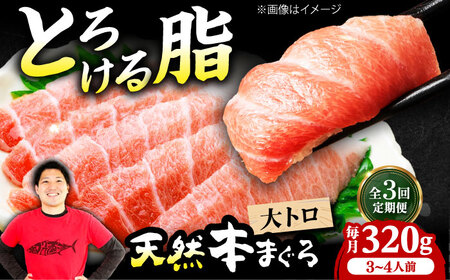 [全3回定期便]たね熟天然本まぐろ大トロ(320g)[AOCE022]まぐろ まぐろ まぐろ まぐろ まぐろ まぐろ