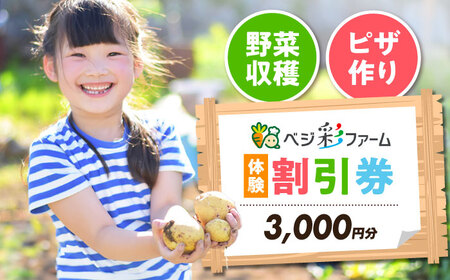 ベジ彩ファーム　割引チケット 3,000円分 体験 国内 野菜収穫 ピザづくり 親子体験 大阪府高槻市/ベジ彩ファーム[AOEJ001]