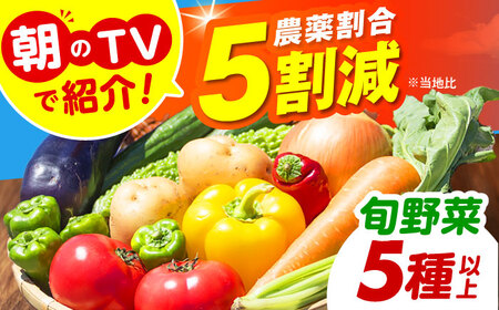 旬のお野菜セット ベジ彩ファーム[AOEJ004] 野菜セット 野菜セット 野菜セット 野菜セット 野菜セット