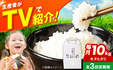 [全3回定期便]お米 10キロ 10kg 大阪府高槻市/ベジ彩ファーム[AOEJ011] お米