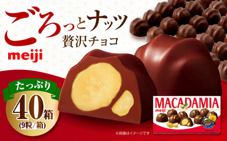 明治 マカダミアチョコレート 9粒×40箱[AOAA066]チョコ
