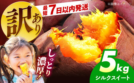 [訳あり]さつまいも シルクスイート 5kg[AOEJ014]さつまいも