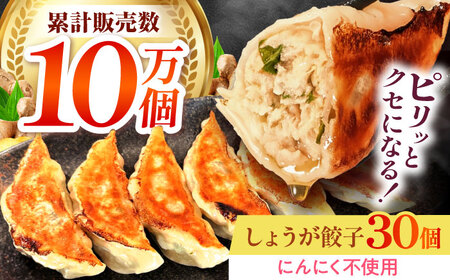 冷凍 しょうが餃子 30個入り 餃子屋藤[AOEO001]