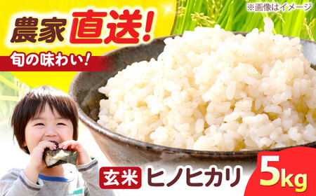 R7年度産 新米 ヒノヒカリ 玄米 5キロ 5kg 高槻あぐり[AOCS031]