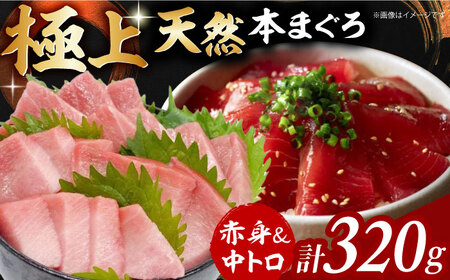 極上!たね熟天然本まぐろ赤身&中トロセット(320g 各160g) 大阪府高槻市/本まぐろ直売所[AOCE002] 魚介類 海鮮丼 天然鮪 魚介類 海鮮丼 天然鮪 魚介類 海鮮丼 天然鮪 魚介類 海鮮丼 天然鮪