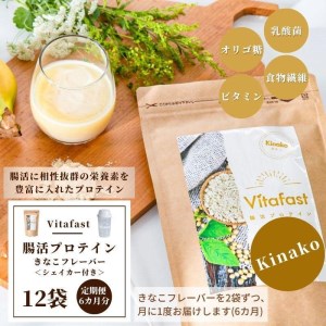 [定期便6ヶ月連続]Vitafast 乳酸菌プロテイン きなこ味 2袋×6ヶ月 計12袋 シェイカー1個付き