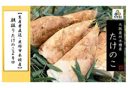 2026N3{\聄yYҒELˎsؐώYz@肽̂Qkg