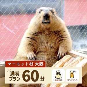 マーモット村大阪 体験チケット(満喫プラン ワンドリンク&お土産付き) [2609]