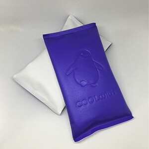 高性能保冷剤 COOLwith_雑貨・日用品 日用品 雑貨・日用品 アウトドア用品 スポーツ・アウトドア用品 _
