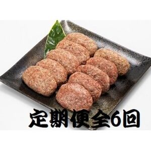 [2ヵ月毎定期便]特選和牛(焼肉薩摩の完熟平野幸一之牛)ハンバーグ10個全6回_肉 ハンバーグ 牛肉 定期便 定期便 _[配送不可地域:離島]