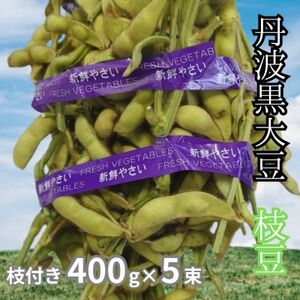 Og哤@}t}400g×5@RNƊÖĂ肵HByzsnFzy1653084z