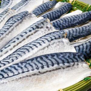 [骨取り]無添加トロさばフィーレ 無塩 5切(約550g)[配送不可地域:離島]