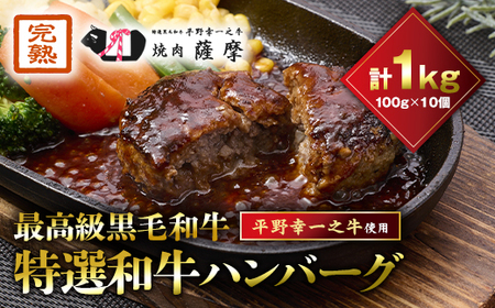 特選和牛[焼肉薩摩 完熟平野幸一之牛]ハンバーグ10個_肉 ハンバーグ 牛肉 _[配送不可地域:離島]