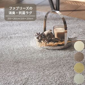 T113(レーズン/200×200cm)4色から選べるファブリーズの消臭・抗菌ナイロンラグ 2サイズ展開(レーズン/200×200cm)