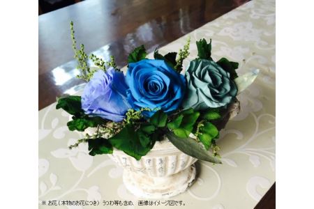 プリザーブドフラワー リラックス(気持ちが静まり落ち着く効果が期待される)