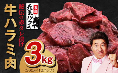 [TVで紹介!]牛ハラミ 総量 3kg タレ漬け 味付き 小分け 300g×10P