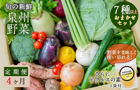 旬の新鮮 野菜セット(7種以上)定期便 全4回 おまかせ ピクルスの素付き ファミリー向け[毎月配送コース]