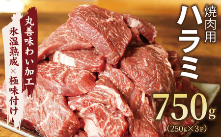 [氷温熟成×極味付け]牛肉 ハラミ 750g(250g×3)