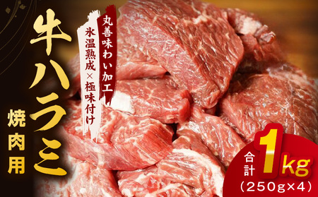 【氷温熟成×極味付け】牛肉 ハラミ 1kg（250g×4）