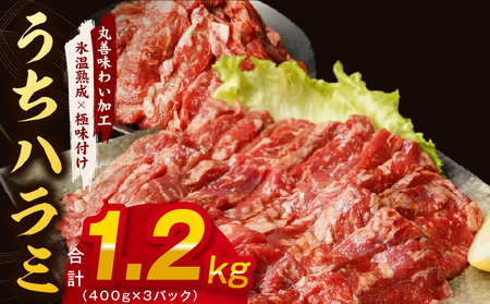 [氷温熟成×特製ダレ]希少部位 牛肉 うちハラミ 1.2kg(400g×3)